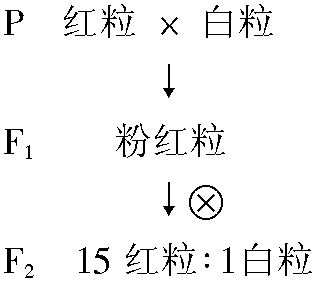 4.1 數(shù)量性狀的遺傳特征及機理